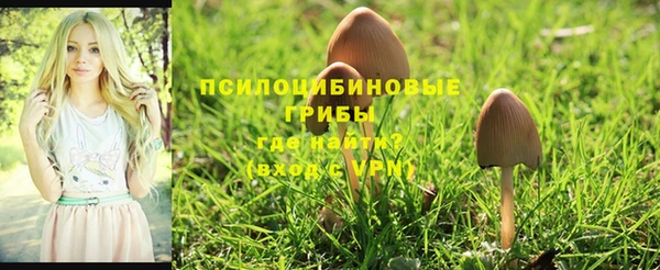кокаин Арсеньев