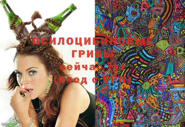 мдпв Аркадак