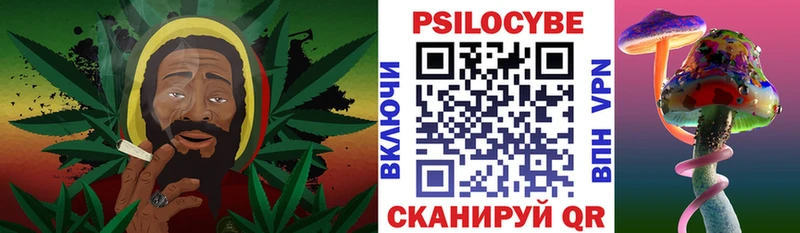 Псилоцибиновые грибы Psilocybe  Приморско-Ахтарск 
